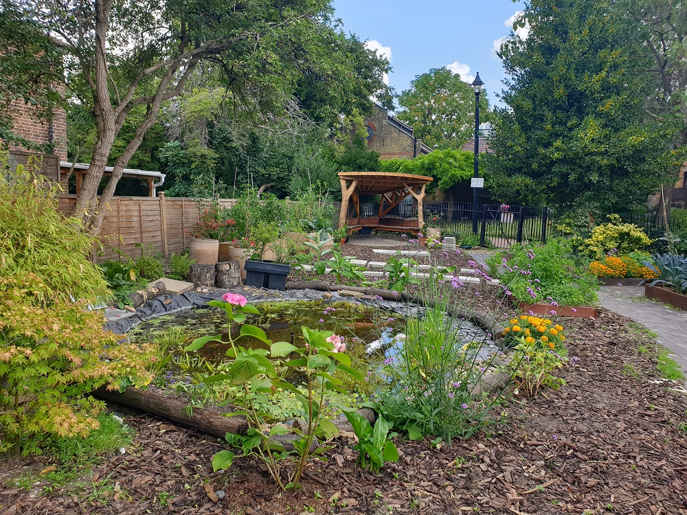 Saint Marychurch Street oasis garden